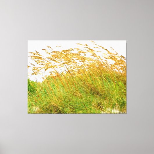 Zwaaiende Grassen in de Bries Canvas Afdruk (Voorkant)