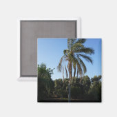 Zwaaiende palmboom onder een heldere hemel magneet (Voorkant / Achterkant)