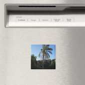 Zwaaiende palmboom onder een heldere hemel magneet (Insitu (Vaatwasser))