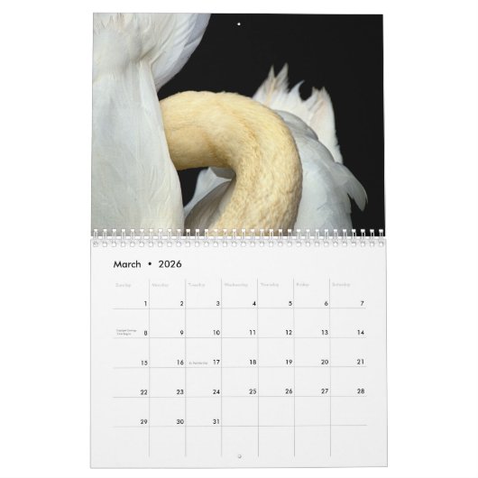 Zwaan 2025 kalender (Mar 2026)