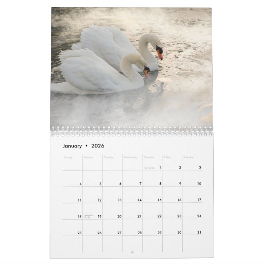 Zwaan 2025 kalender (Jan 2026)