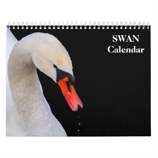 Zwaan 2027 kalender (Hoes)