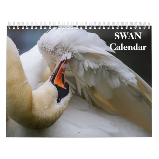 Zwaan 2027 kalender (Hoes)