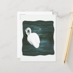 Zwaan bij de vijver briefkaart
