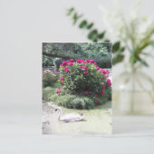 Zwaan - Bloemeneiland Briefkaart (Staand voorkant)