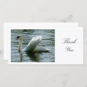 Zwaan - Dank je Bedankkaart (Voorkant / Achterkant)