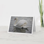 Zwaan die over het meer glijdt kaart (Voorkant)