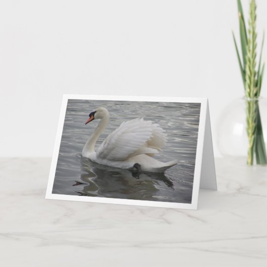 Zwaan die over het meer glijdt kaart (Voorkant)