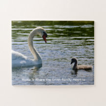 Zwaan & Donzige Cygnus Foto Persoonlijke Puzzel
