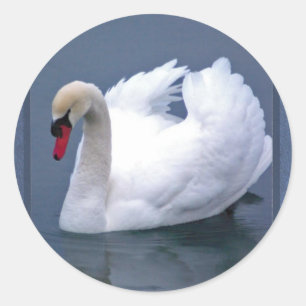 ZWAAN ELEGANTIE RONDE STICKER