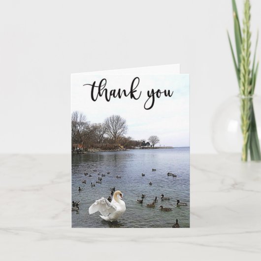 Zwaan en eenden op het meer Dank u kaart (Voorkant)
