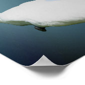 Zwaan en Hibiscus bloeit Inspirerend Poster (Hoek)