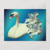 Zwaan En Hibiscus Bloem Natuur Gepersonaliseerd Briefkaart (Voorkant)