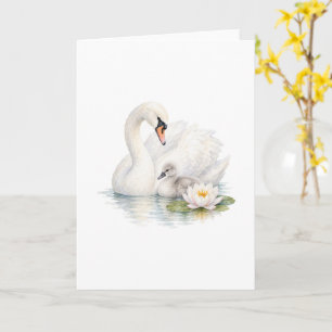 Zwaan en jonge zwaan met waterlelies kaart