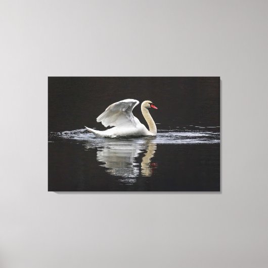 Zwaan en reflecties canvas afdruk (Voorkant)