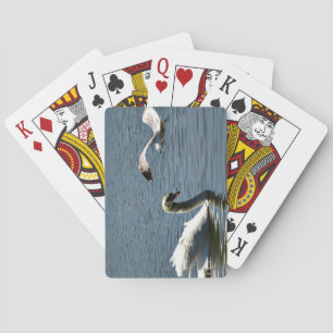 Zwaan en vogel op het meer pokerkaarten