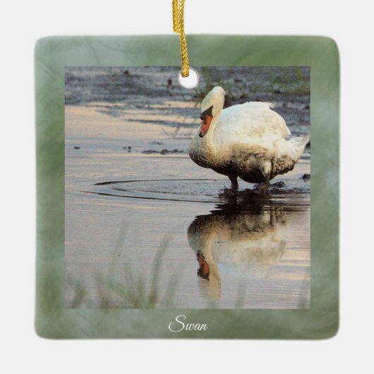 Zwaan Foto Ornament  (Voorkant)