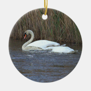 Zwaan Foto Ornament