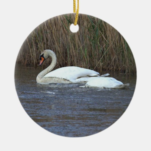 Zwaan Foto Ornament (Voorkant)