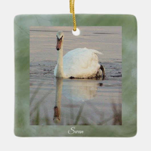 Zwaan Foto Ornament (Voorkant)
