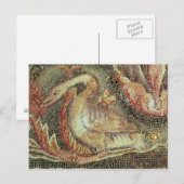 Zwaan, gerestaureerd c.1200 briefkaart (Voorkant / Achterkant)