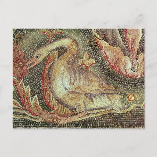 Zwaan, gerestaureerd c.1200 briefkaart (Voorkant)