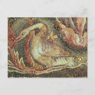 Zwaan, gerestaureerd c.1200 briefkaart