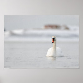 Zwaan in een poster van een bevroren zee landschap