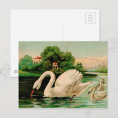  zwaan in het meer briefkaart (Voorkant / Achterkant)