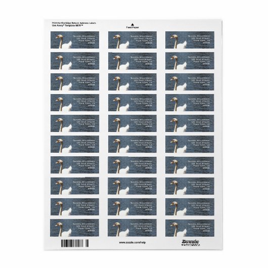zwaan in het meer etiket (Full Sheet)