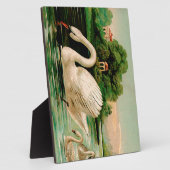  zwaan in het meer fotoplaat (Zijkant)