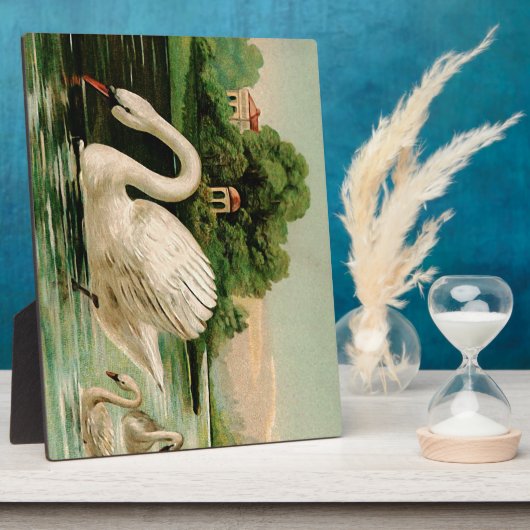  zwaan in het meer fotoplaat (Zijkant)