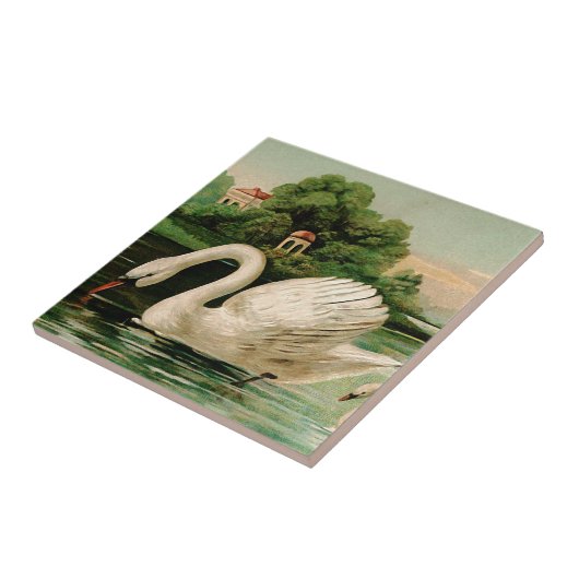  zwaan in het meer tegeltje (Zijkant)