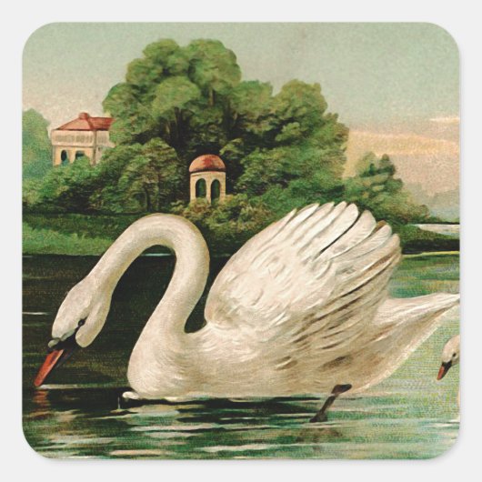 zwaan in het meer vierkante sticker (Voorkant)