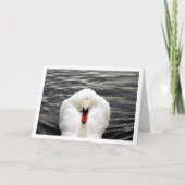Zwaan in Lake Portrait Kaart (Voorkant)
