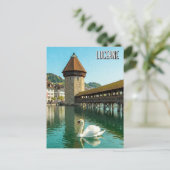 Zwaan in Luzern Zwitserland Reizen Briefkaart (Staand voorkant)