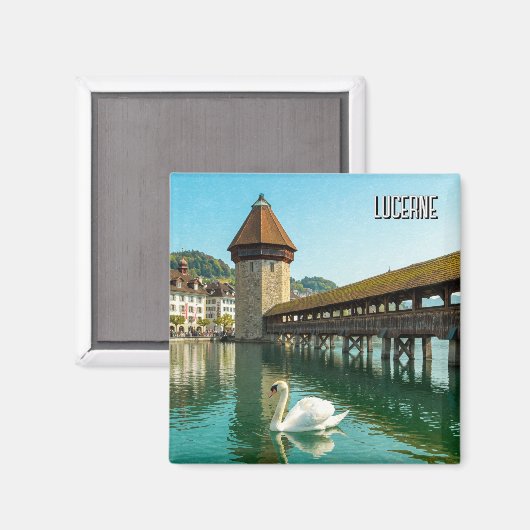 Zwaan in Luzern Zwitserland Reizen Magneet (Voorkant / Achterkant)