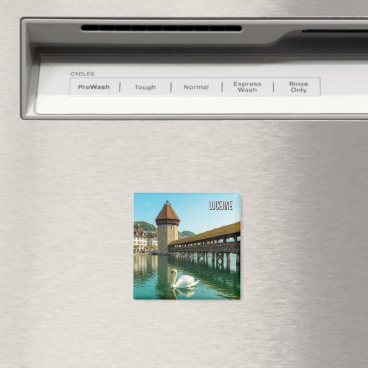 Zwaan in Luzern Zwitserland Reizen Magneet (Insitu (Vaatwasser))