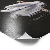 Zwaan in rust foto afdruk (Hoek)