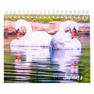Zwaan Kalender