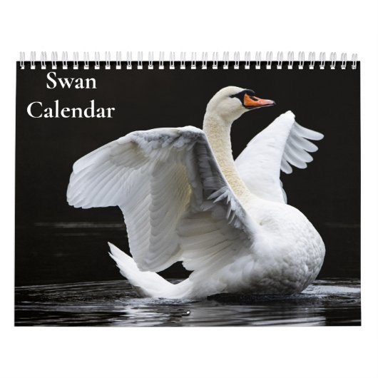Zwaan Kalender 2027 (Hoes)