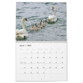 Zwaan Kalender 2027 (Mar 2027)