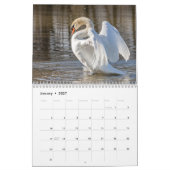 Zwaan Kalender 2027 (Jan 2027)