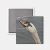 Zwaan Magneet (Voorkant / Achterkant)