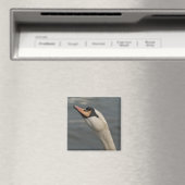 Zwaan Magneet (Insitu (Vaatwasser))