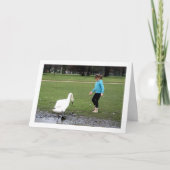 Zwaan met jong kaart (Voorkant)