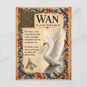 Zwaan, Middeleeuwse Bestiarium Kunst Briefkaart