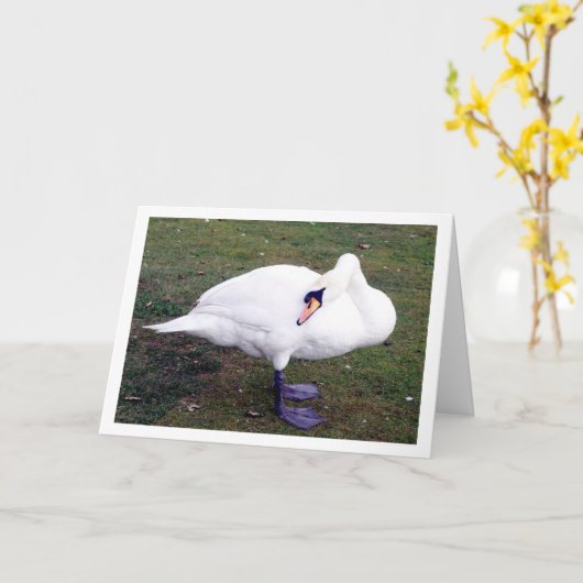 Zwaan op Gras Kaart (Gele Bloem)