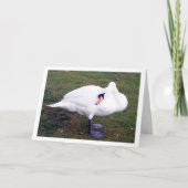 Zwaan op Gras Kaart (Voorkant)