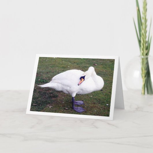 Zwaan op Gras Kaart (Voorkant)